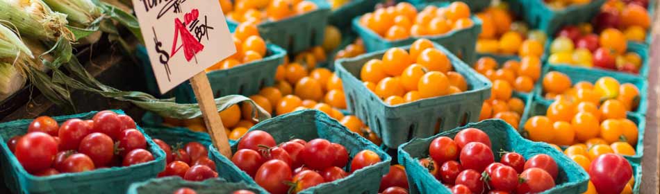 Farmers Markets, Farm Fresh Produce, Baked Goods, Honey in the Perkasie, Bucks County PA area