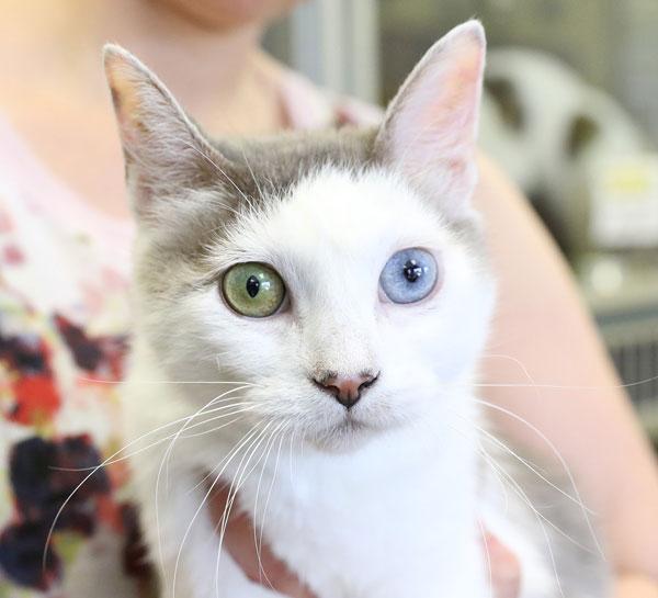 Photo by Jason Russell Photo by Jason Russell