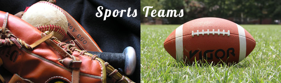 Sports teams, football, baseball, hockey, minor league teams in the Perkasie, Bucks County PA area
